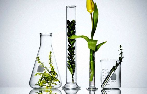 Un laboratorio en casa. Los nuevos soportes para rodearnos de flores.