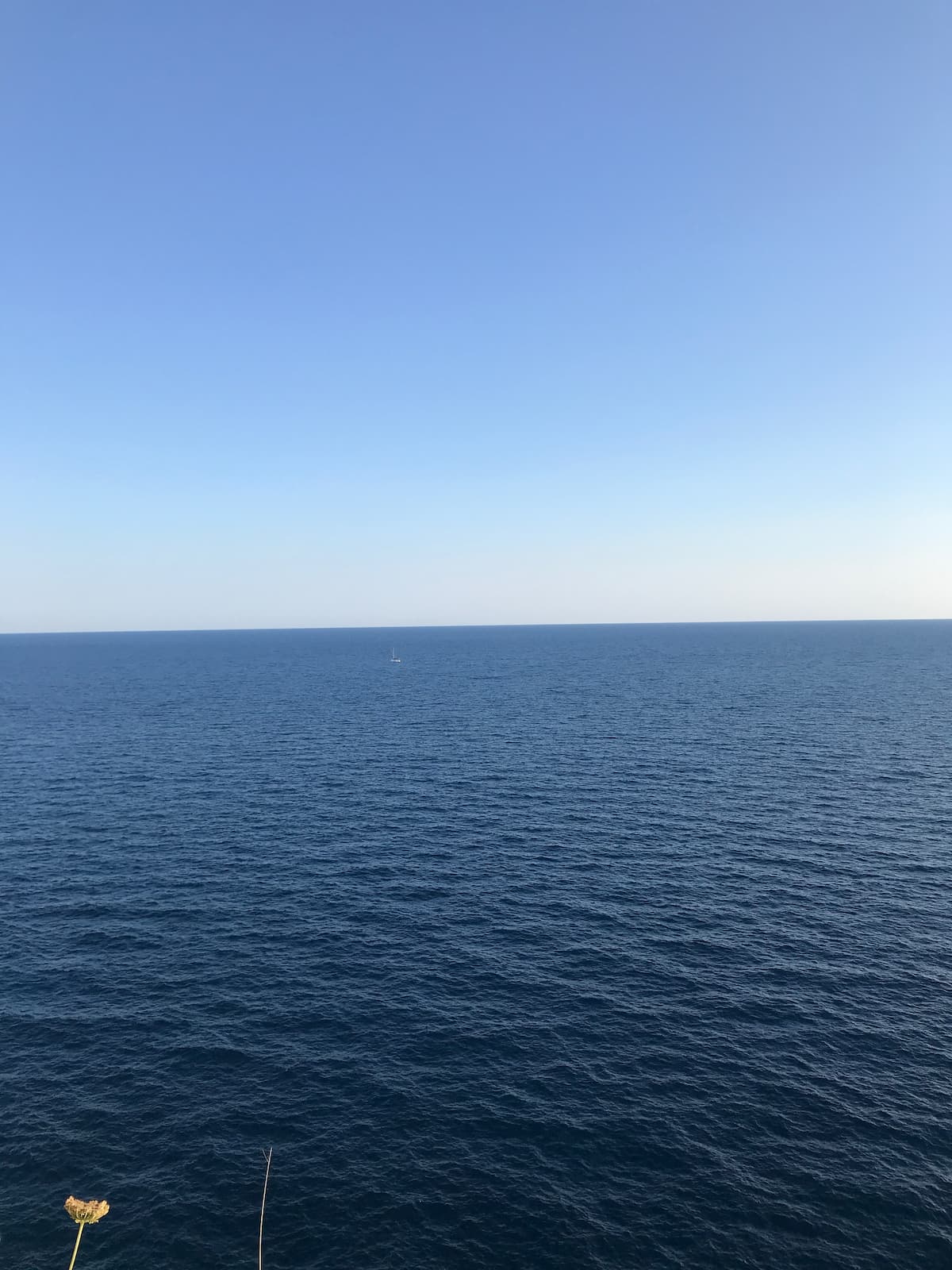 Feliz verano! Volvemos en Septiembre